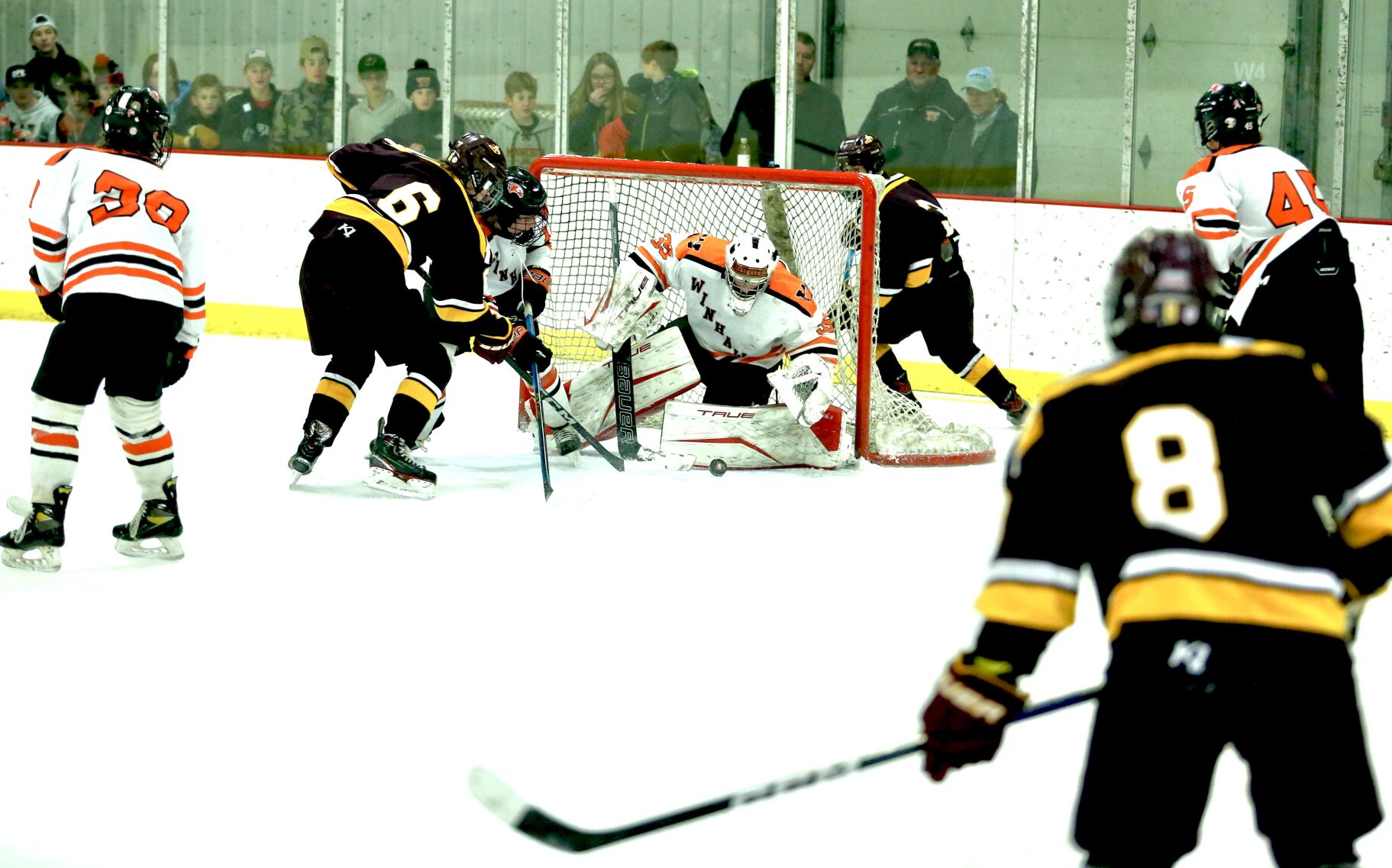 Goalie Makes the Save
